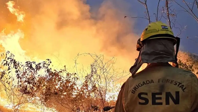 Efectivos de la Brigada Forestal de la Secretaría de Emergencia Nacional (SEN) lucharon contra las llamas en la zona del cerro Chovoreca