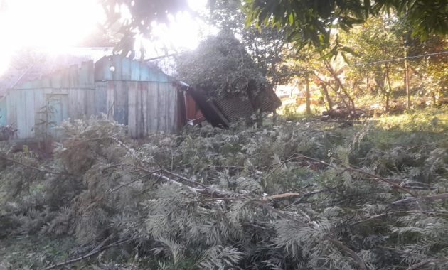 Las zonas visitadas fueron Yaratii, San Miguel, Tacuaremboiy, Guazucai Norte, Potrero Yatai, Yaguareté Corá, Azame Cué y San Juan Bautista, donde se constataron distintos tipos de afectaciones por el fenómeno climático. Foto: SEN.