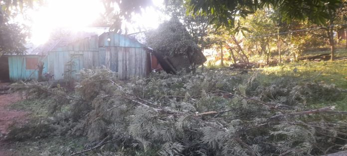 Las zonas visitadas fueron Yaratii, San Miguel, Tacuaremboiy, Guazucai Norte, Potrero Yatai, Yaguareté Corá, Azame Cué y San Juan Bautista, donde se constataron distintos tipos de afectaciones por el fenómeno climático. Foto: SEN. Las zonas visitadas fueron Yaratii, San Miguel, Tacuaremboiy, Guazucai Norte, Potrero Yatai, Yaguareté Corá, Azame Cué y San Juan Bautista, donde se constataron distintos tipos de afectaciones por el fenómeno climático. Foto: SEN.