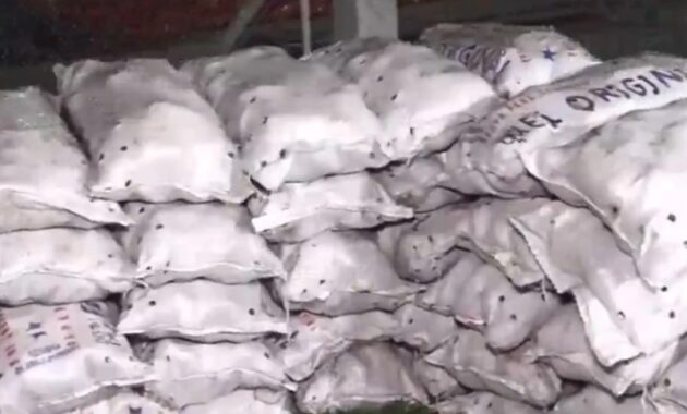 Un operativo anticontrabando terminó con la incautación de 2.000 bolsas de cebolla y 250 de papa. Captura de pantalla.
