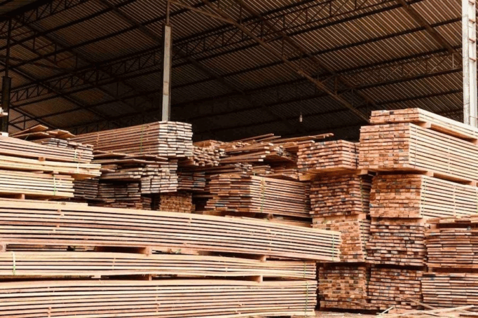 Paraguay se posiciona como un proveedor confiable de productos forestales para el mercado internacional. Foto: Archivo
