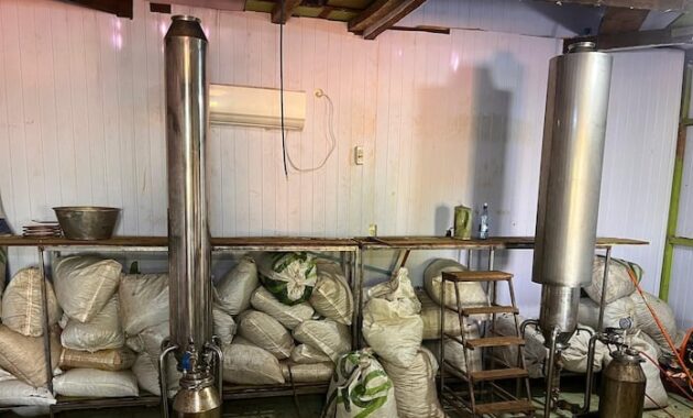 Sitio donde producían la marihuana tipo ICE. Foto: Senad.