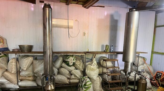 Sitio donde producían la marihuana tipo ICE. Foto: Senad.