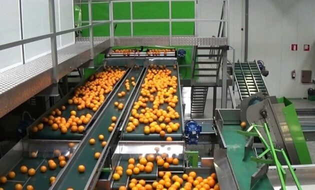 Los precios al productor mostraron una inflación mensual del 0,1 %, según el BCP. Foto: Archivo