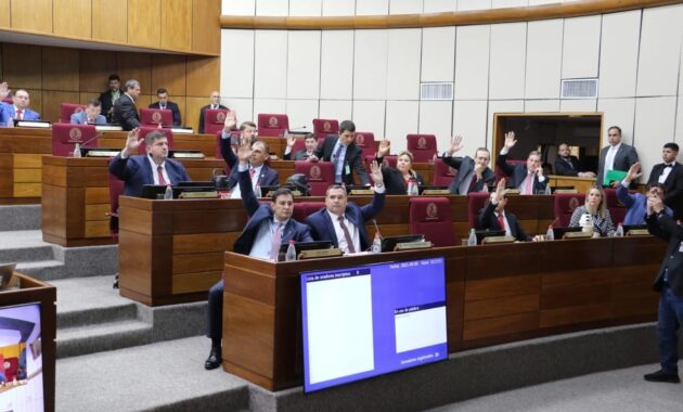 Los senadores continúan con el estudio en particular de la propuesta enviada por el Poder Ejecutivo. Foto: Gentileza