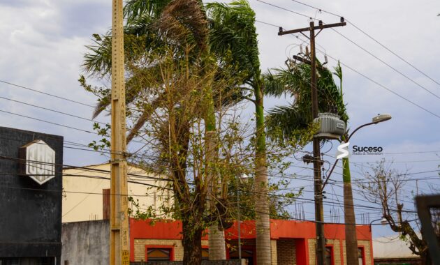 El dia hoy en el departamento de Caazapá se presentará, Fresco a cálido, cielo nublado a parcialmente nublado, vientos del sureste, lluvias dispersas, luego mejorando. Foto: Redacción Suceso