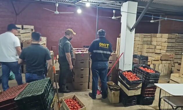 Las cajas de tomates estaban dentro de una casa alquilada en Ñemby.Foto: Gentileza