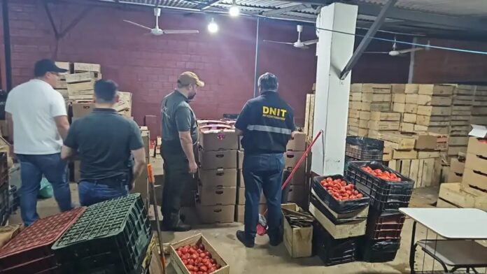 Las cajas de tomates estaban dentro de una casa alquilada en Ñemby.Foto: Gentileza