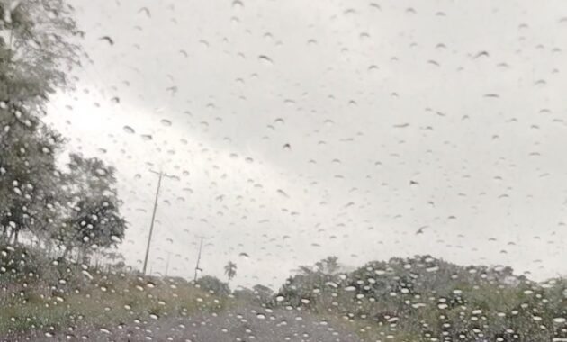 Fresco, cielo mayormente nublado, vientos moderados del sur, lluvias dispersas, luego mejorando. Foto: Gentileza