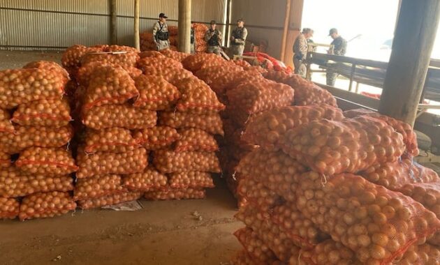 Incautan casi 3.000 bolsas de cebolla de contrabando en el Chaco.