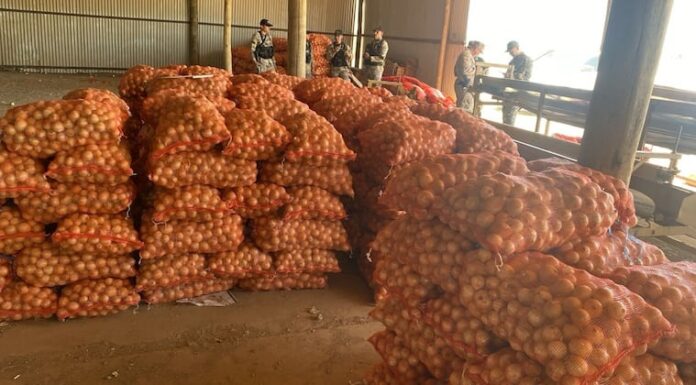Incautan casi 3.000 bolsas de cebolla de contrabando en el Chaco.
