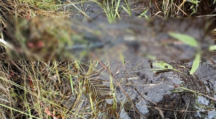 El hecho ocurrió en San Pedro. El hecho ocurrió en San Pedro.
