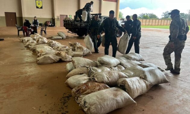 Varias bolsas de marihuana fueron incautadas dentro del vehículo. Foto: SENAD.