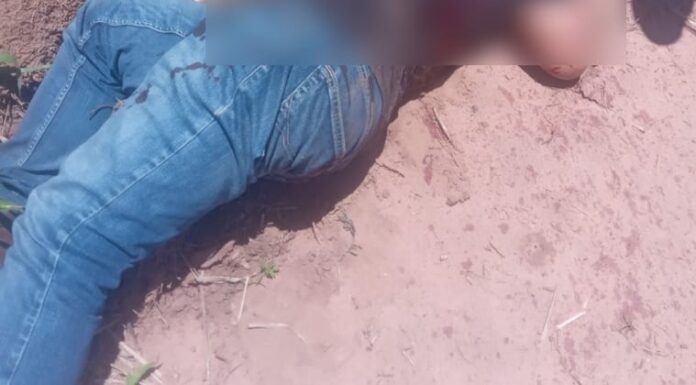 El hecho ocurrió en Canindeyú. El hecho ocurrió en Canindeyú.