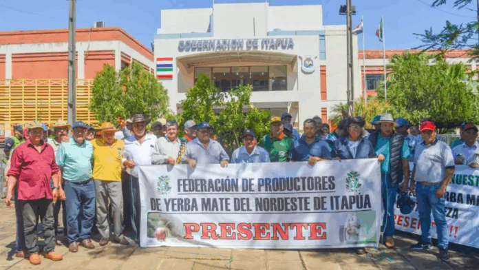 Productores de la hoja de la Yerba Mate se manifestaron este jueves frente a la Gobernación de Itapúa.Foto: ÚH - Antonio Rolín. Productores de la hoja de la Yerba Mate se manifestaron este jueves frente a la Gobernación de Itapúa.Foto: ÚH - Antonio Rolín.