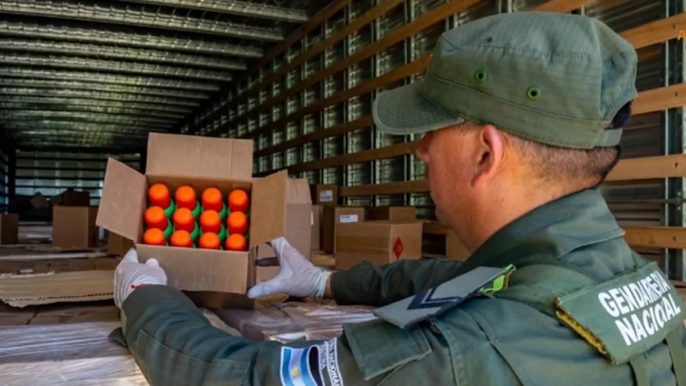 Agentes de la Gendarmería Nacional Argentina revisan la carga que transportaba un camionero paraguayo con destino a Santiago de Chile.Foto: Gendarmería-Argentina.
