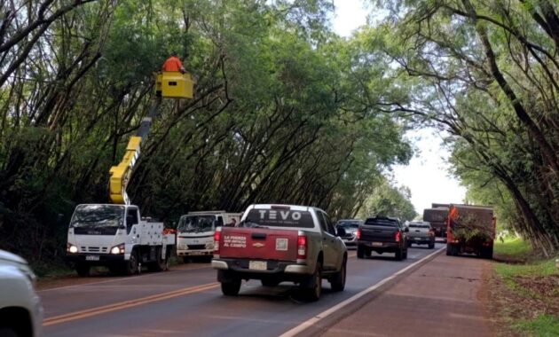 Atajo. Al ir al Sur de Alto Paraná, sobre la ruta PY06, se puede disfrutar de 1,5 km de sombra Foto: GENTILEZA