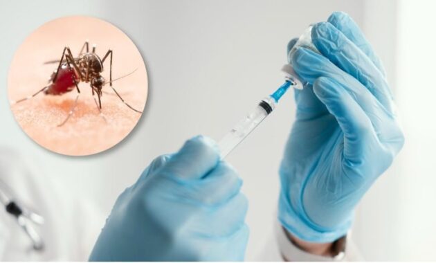 Vacunación infantil contra el dengue: Paraguay da un paso histórico en prevención