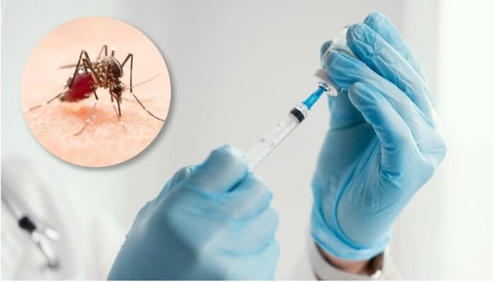Vacunación infantil contra el dengue: Paraguay da un paso histórico en prevención