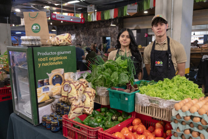 Jóvenes de todo el país pueden postularse a las Escuelas Agrícolas Autosostenibles de la Fundación Paraguaya en Cerrito y Belén, donde se forman como emprendedores rurales, promotores agropecuarios y técnicos en hotelería y turismo.