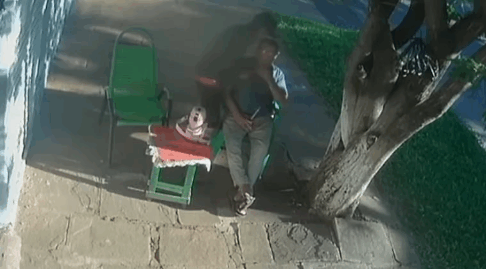 El hecho ocurrió ayer por la mañana en Villarrica.