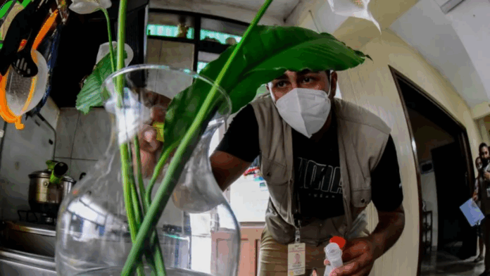 Importancia. La revisión de los recipientes que contienen agua es una medida preventiva para evitar la multiplicación del Aedes dentro del hogar.Foto: Archivo. Importancia. La revisión de los recipientes que contienen agua es una medida preventiva para evitar la multiplicación del Aedes dentro del hogar.Foto: Archivo.