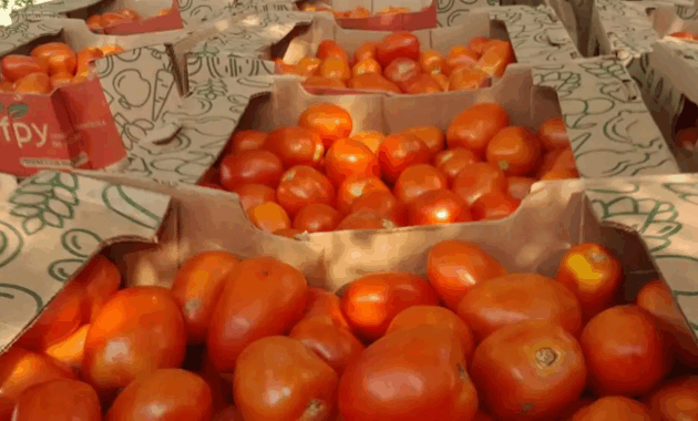 El precio del tomate está entre G. 22.000 y G. 28.000 el kilo en el Mercado de Abasto. Foto: Gentileza.