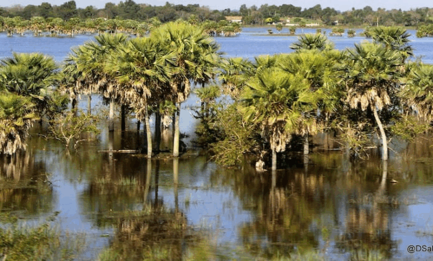Logran acuerdo para la protección a perpetuidad en la cuenca del Lago Ypacaraí