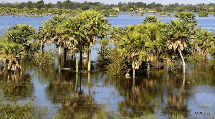Logran acuerdo para la protección a perpetuidad en la cuenca del Lago Ypacaraí Logran acuerdo para la protección a perpetuidad en la cuenca del Lago Ypacaraí