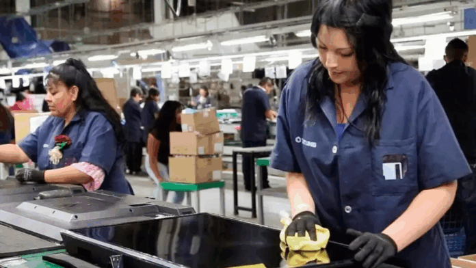 La nueva ley podría profundizar las brechas salariales y limitar aún más la participación femenina en el mercado laboral, advierten las trabajadoras.Foto: Misiones Online. La nueva ley podría profundizar las brechas salariales y limitar aún más la participación femenina en el mercado laboral, advierten las trabajadoras.Foto: Misiones Online.