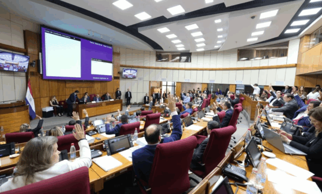 El proyecto pasó a la Cámara de Diputados para su estudio. Foto: x.com/SenadoresPy.