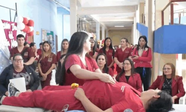 Sancionan histórico proyecto de ley del obstetra en Paraguay