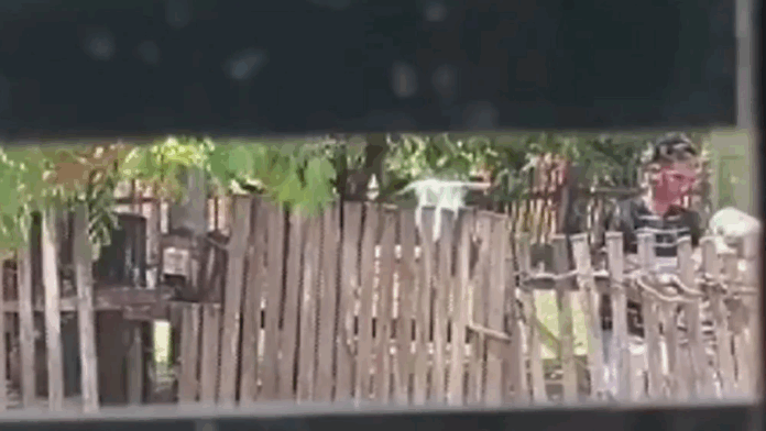 El joven fue captado por una vecina cuando supuesamente agredía a su abuela.Foto: Captura. El joven fue captado por una vecina cuando supuesamente agredía a su abuela.Foto: Captura.