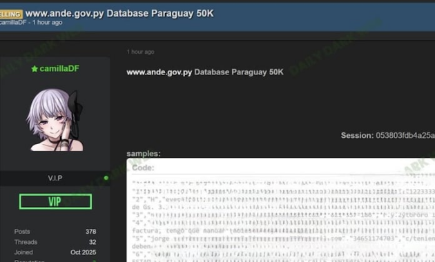 Base de datos de la ANDE que estaría circulando en internet.