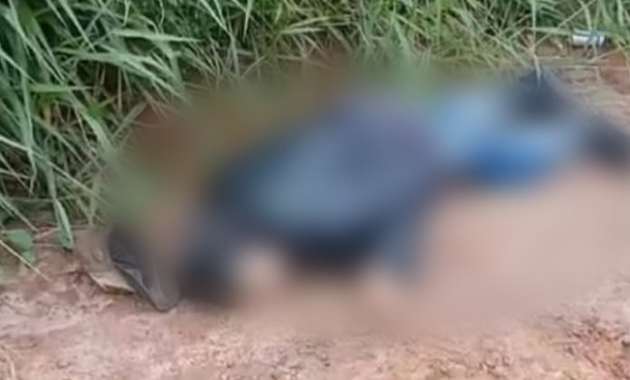 El hombre fue asesinado, mientras que su hijo resultó herido. Foto: Gentileza.