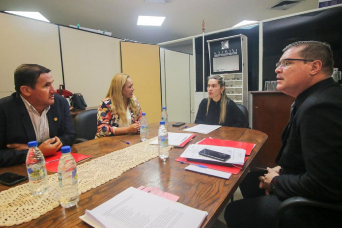 Integrantes de la Comisión de Familia y Personas Adultas Mayores se reunieron este lunes bajo la presidencia de la diputada Johana Vega. Foto: Gentileza
