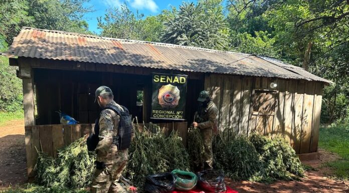 Sitio intervenido por los antidrogas. Foto: Senad.