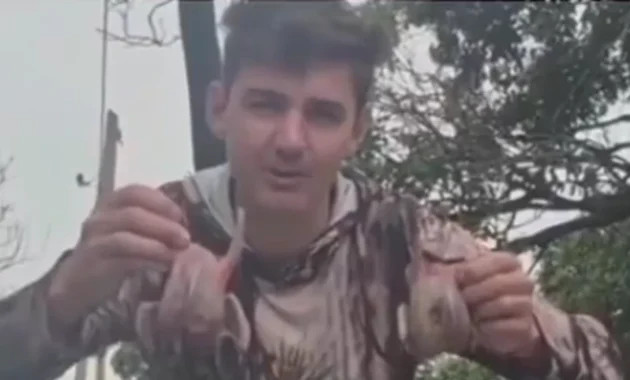 Un tiktoker argentino decidió hacer milanesas de paloma, desatando polémica.Foto: Gentileza.