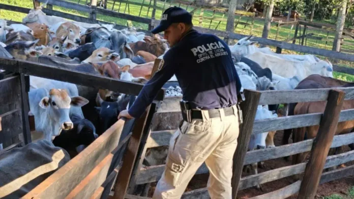 Cinco personas se encuentran imputadas por presunta estafa en venta de animales vacunos.Foto: Referencia.