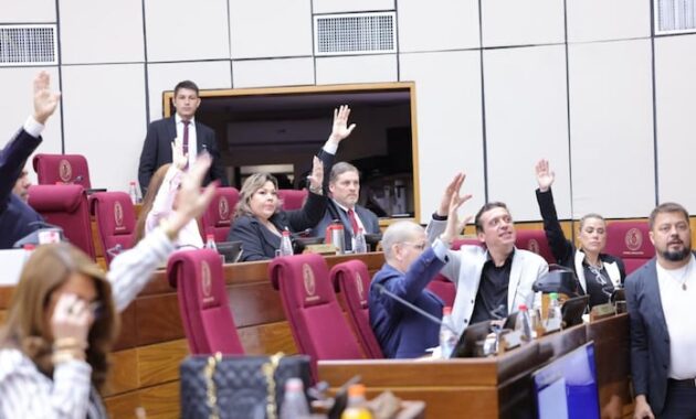 Luego de un largo debate, el Senado elimina el pago de bonificaciones previsto para este año. Foto: Gentileza