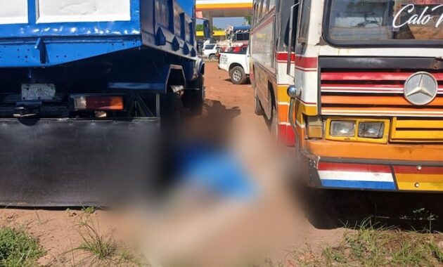 El chofer logró estacionar el bus antes de producirse su deceso. Foto: Sucesos Paraguay.