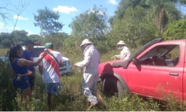 El hecho ocurrió en una zona rural de Pilar. Foto: Gentileza