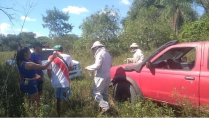 El hecho ocurrió en una zona rural de Pilar. Foto: Gentileza