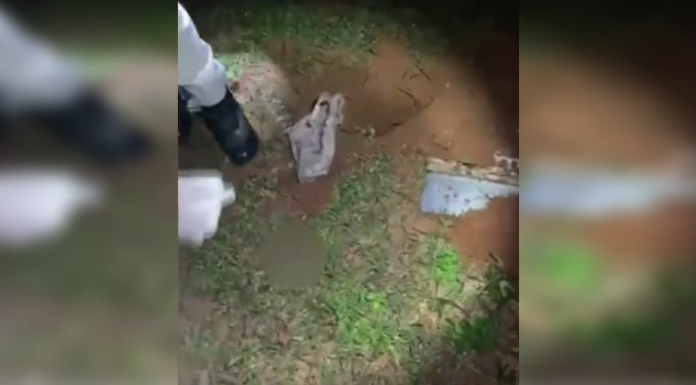 El feto fue localizado en un patio baldío. Imagen: captura de video. El feto fue localizado en un patio baldío. Imagen: captura de video.