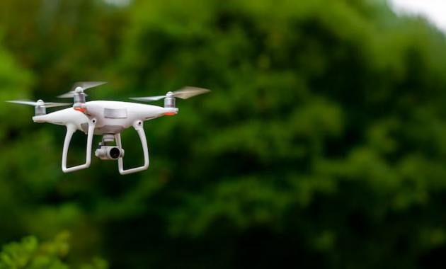 Los drones serán una herramienta de apoyo para la detección y monitoreo de casos de maltrato y abandono animal. Foto: Ilustrativa.
