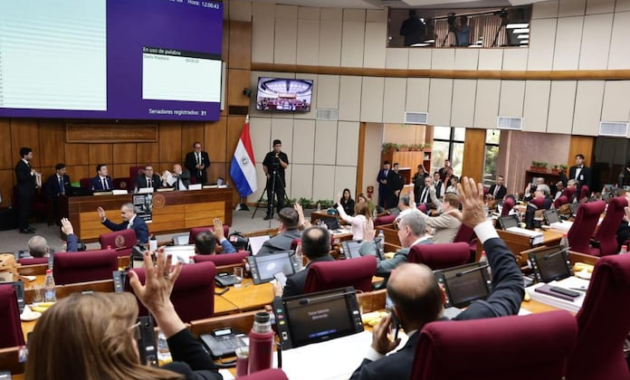 El proyecto regresa a la Cámara de Diputados.