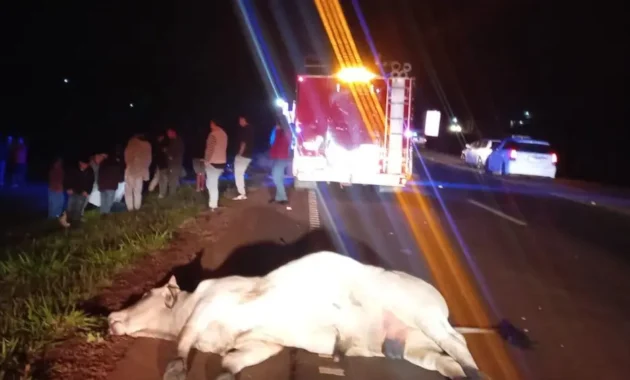 El joven terminó impactando violentamente contra un animal vacuno que se encontraba sobre la capa asfáltica.Foto: Gentileza
