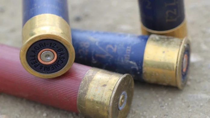 La imputación señala que el abogado sacó un rifle y disparó contra la víctima Jesús Portillo Benítez, de 21 años, desde el balcón de su casa.Foto referencial (Pixabay).