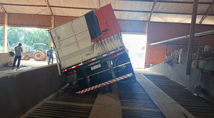 La víctima murió aplastada luego de que el camión se inclinara hacia un costado. Foto: Gentileza.