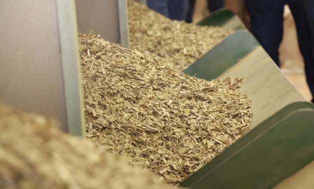 El stock actual en industrias estaría en unas 20.000 toneladas. Foto: Gentileza